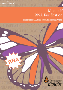 NEB Monarch RNA